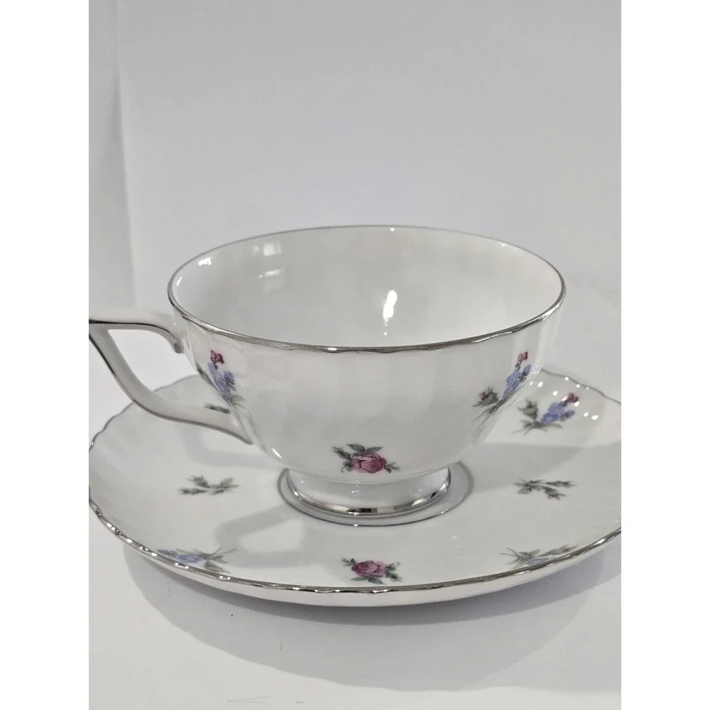 Vintage Royal Tettau Dresden Flowers Platinum Trim Footed Cup & Saucer